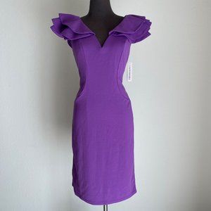 Shelby & Palmer sz 8 ruffle sleeve V neck purple sheath dress NWT